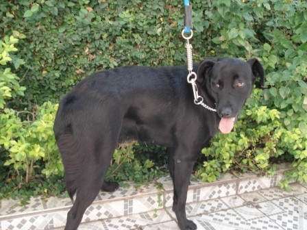 Neguinha (SP)
