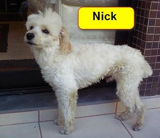 Nick (SP)