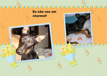 Lara (SP)