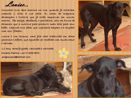 Louisie (SP)