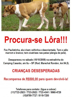 Lôra perdida