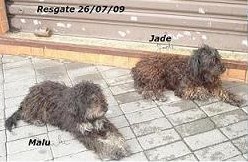 Malu e Jade (SP)