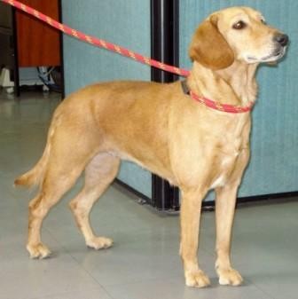Maggie (SP)