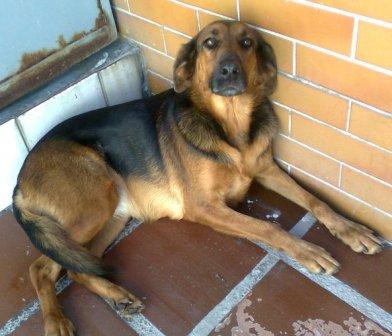 Vivi (SP)