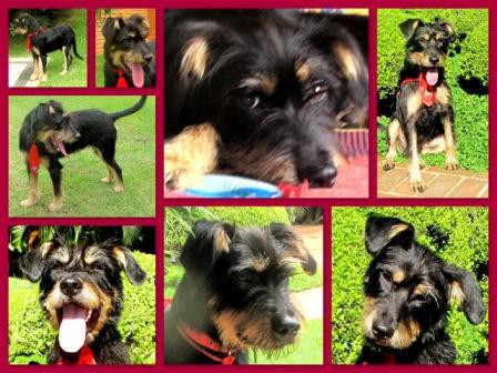 Cadu (SP)